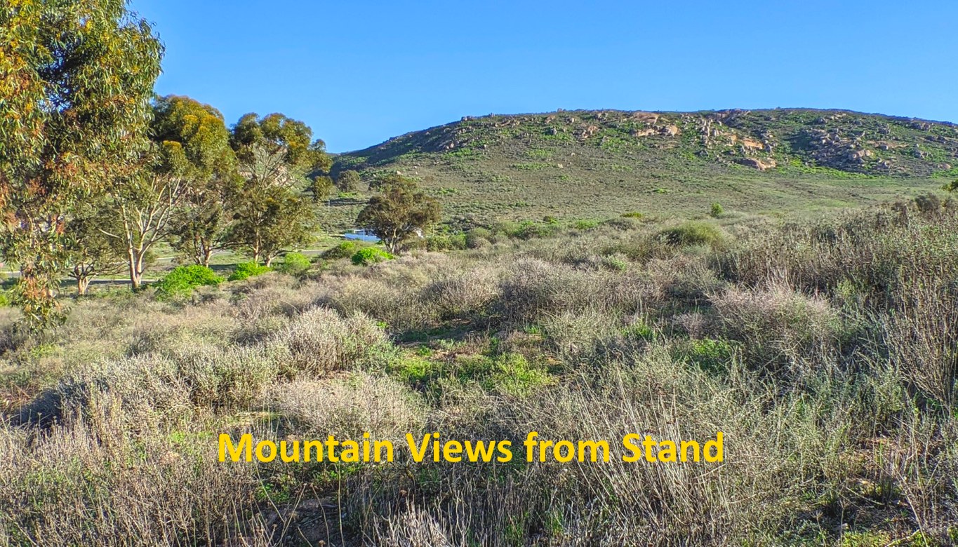 871m² Priced to Sell:  Large Elevated Stand with Views