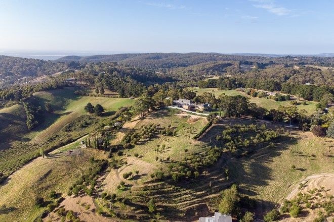 250012asdfm² Tranquil Escape in the Heart of Beroma: Your Dream Home Awaits
