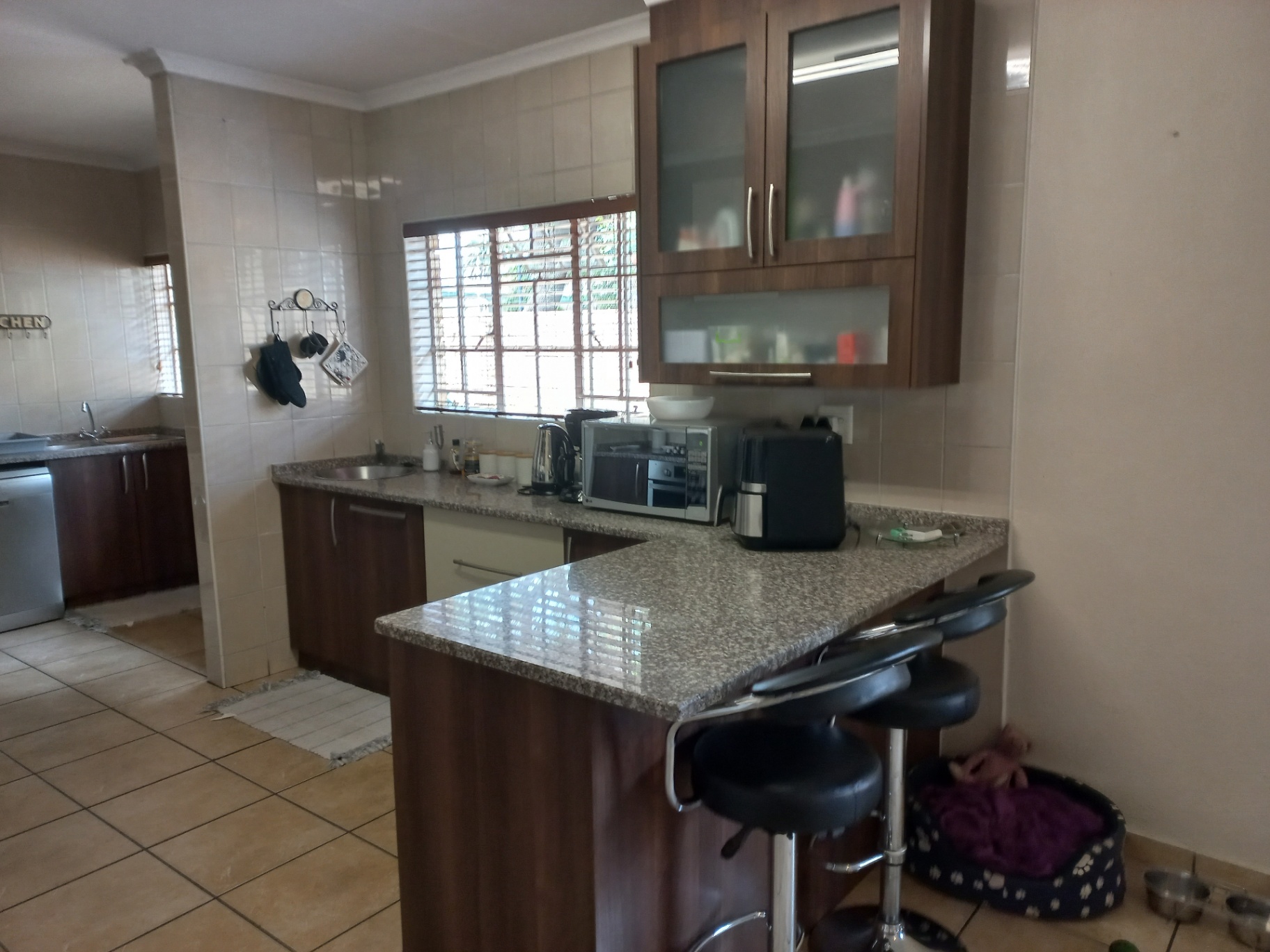 348m² New Redruth Gem: Your Dream Home Awaits!
