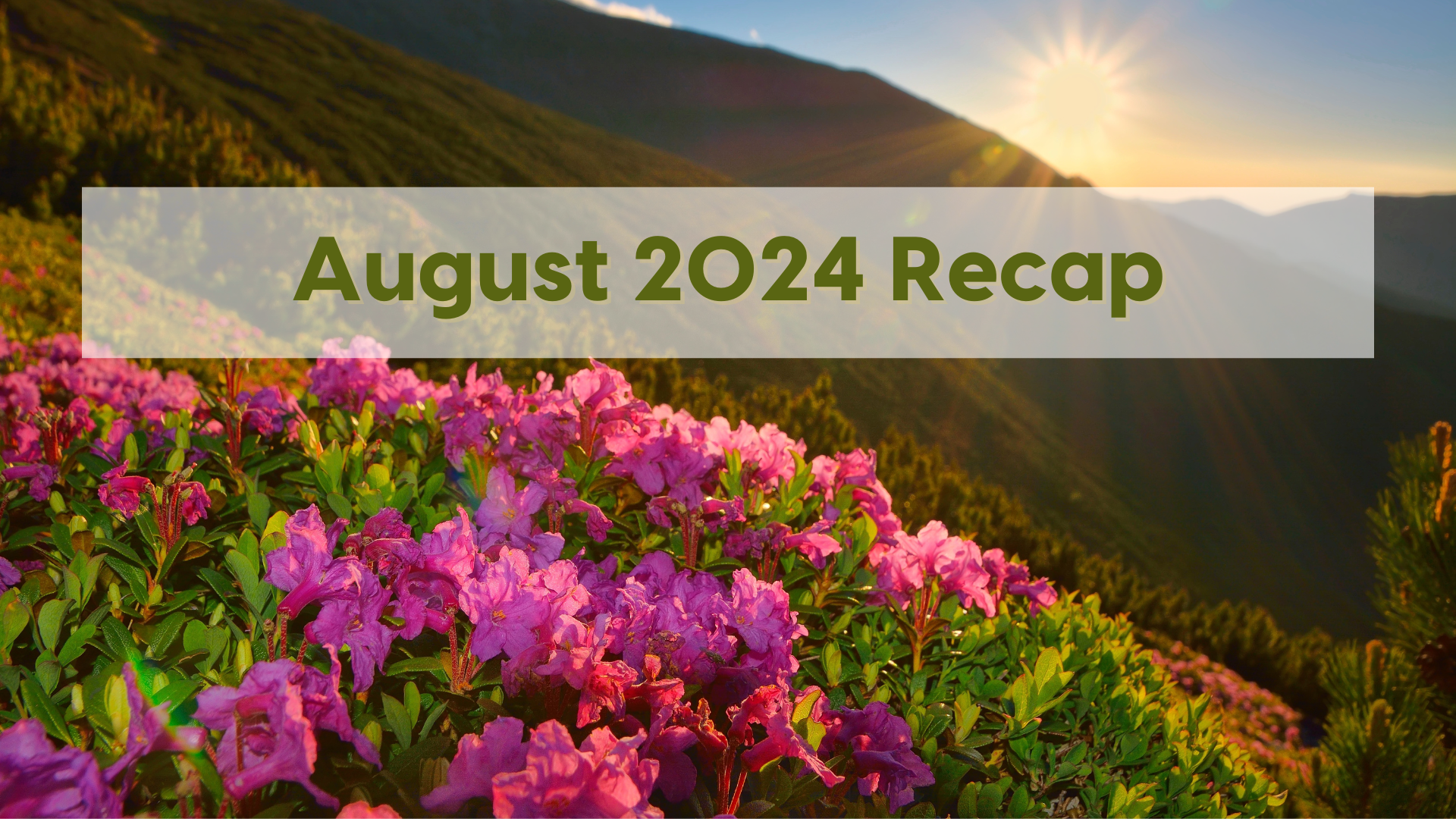 The Executive Property Summary August 2024