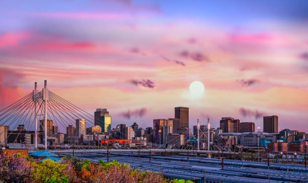 Discover Johannesburg South — A Cultural, Lifestyle & Property Investment Hub