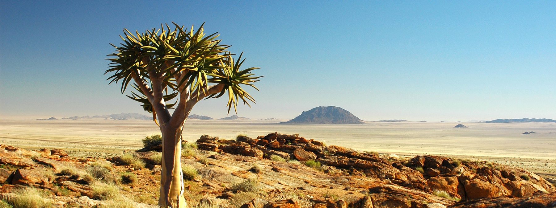 Discover The Karoo: Big Sky Living and Strategic Property & Agricultural Investment in South Africa’s Heartland