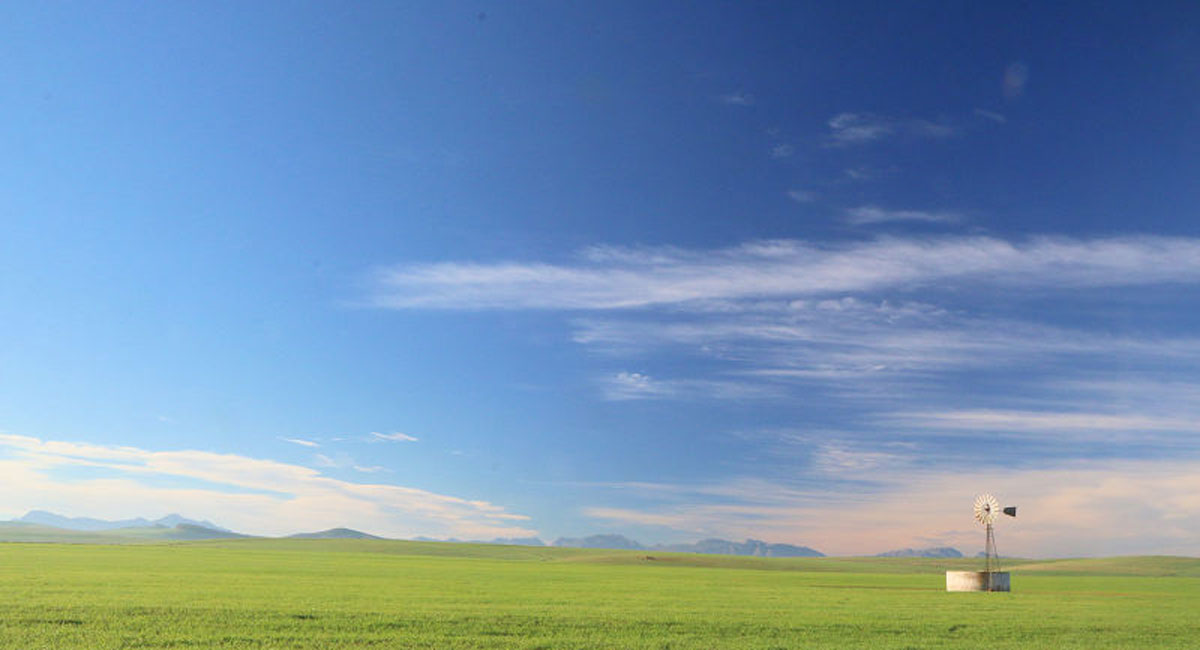 Discover Malmesbury Property Investment: The Swartland’s Rising Star