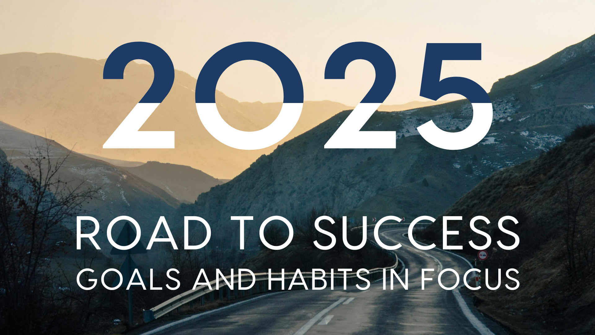 The Executive Property Summary January 2025