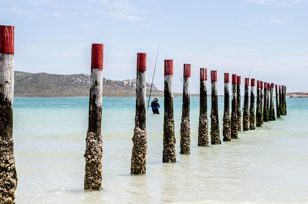 Discover Langebaan: High-Growth Coastal Property Investment on the West Coast